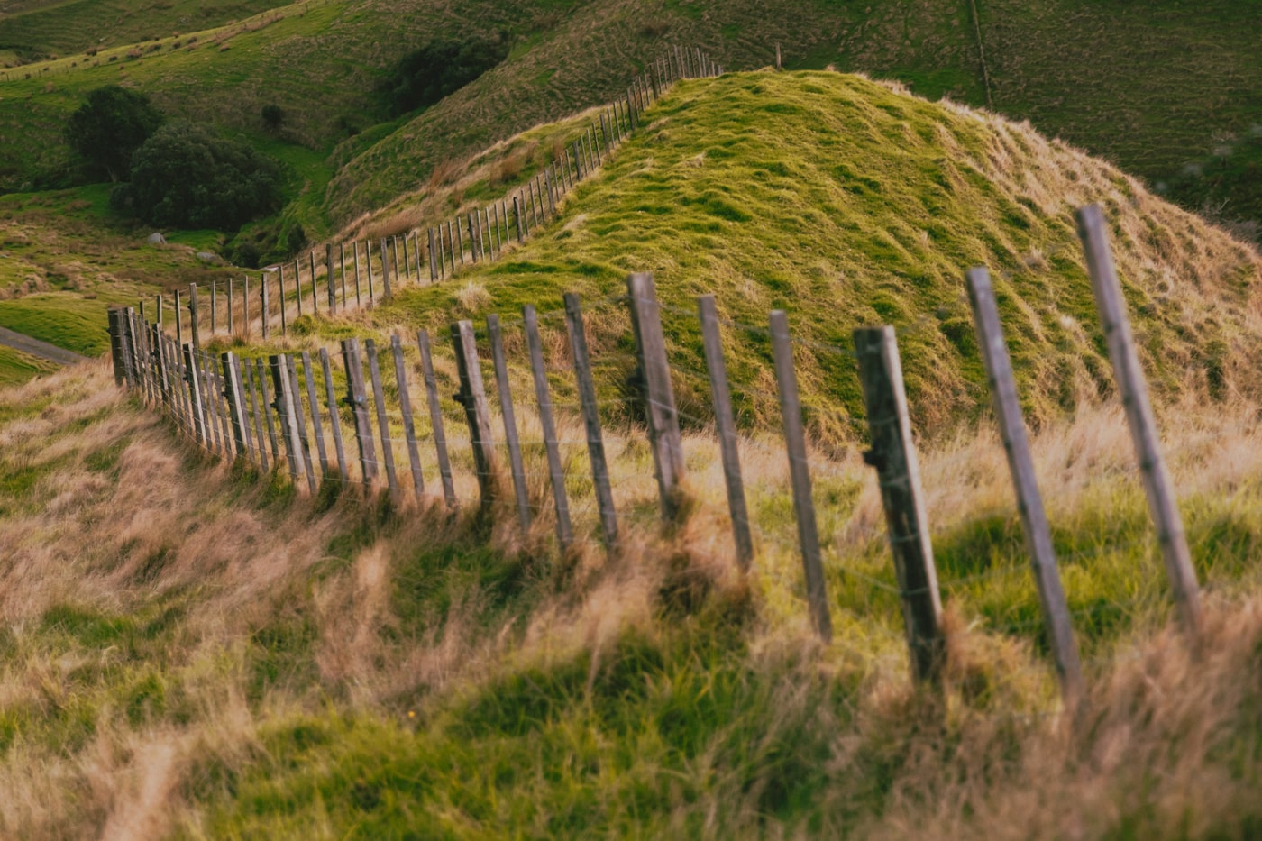 A gravel road winding through lush green New Zealand hill country