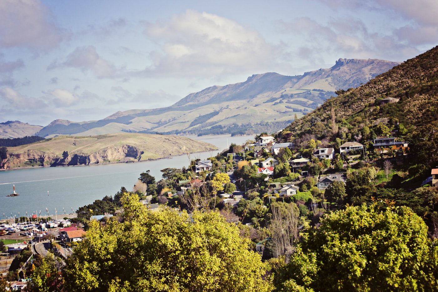 New Zealand houses on a green headland above the water