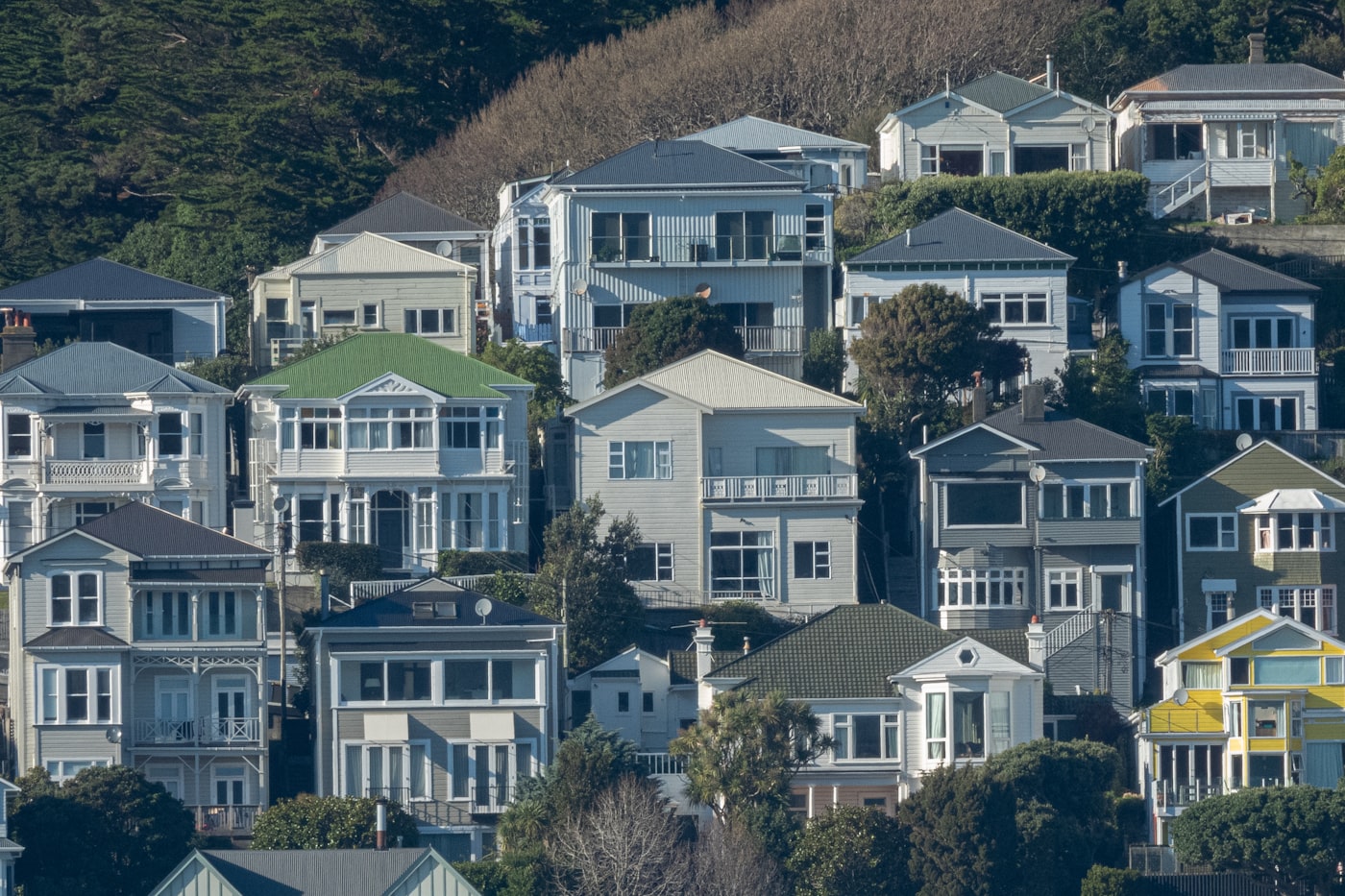 Weatherboard New Zealand villas stacked up a green hillside street