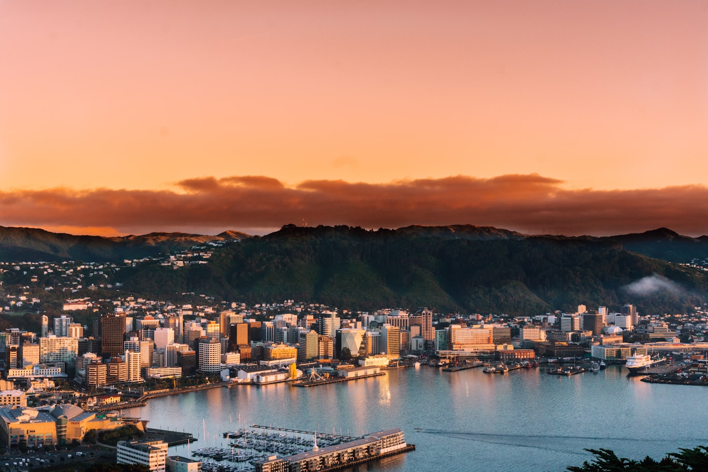 Wellington from above at sunset, the harbour catching the last light